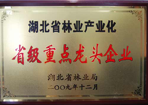 省级重点龙头企业2009